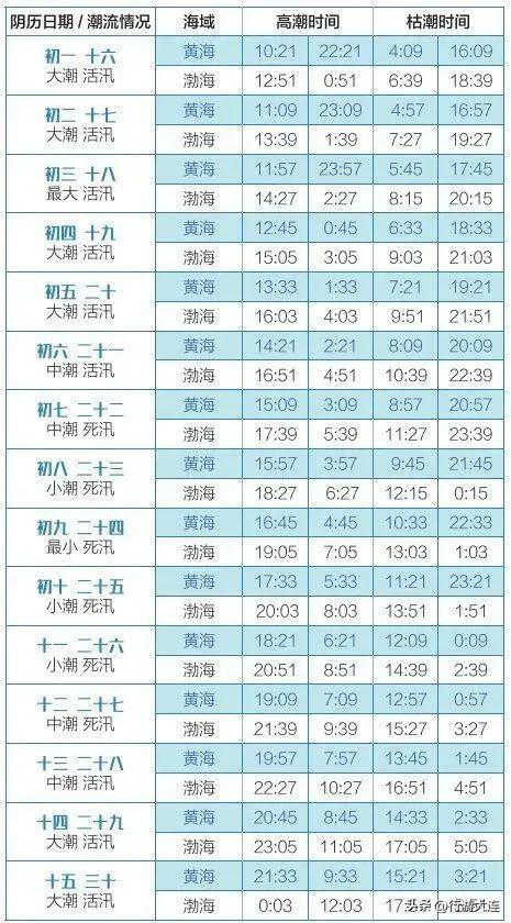 到海边去！大连市区赶海、喂海鸥全攻略