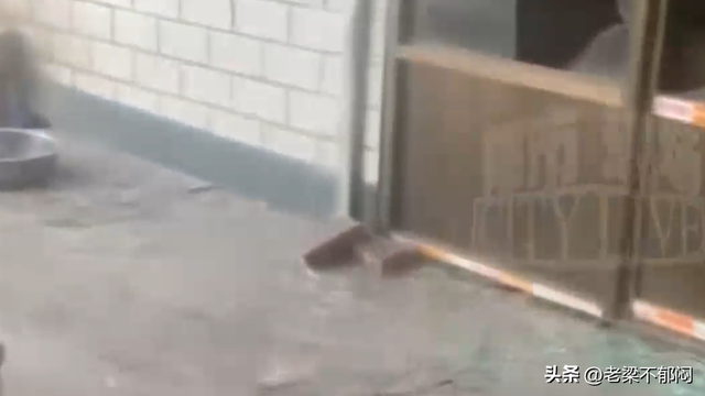 刺死入户狗主是否正当防卫？起诉书提法与家属陈述有冲突