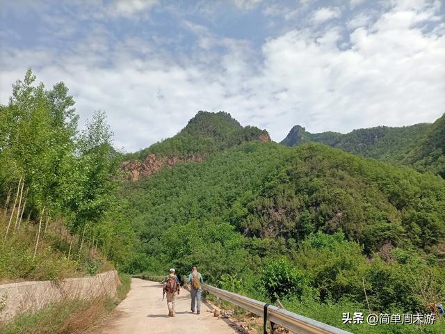 7）山西阳城析城山圣王坪，在云端草甸邂逅狼毒花的美，与千年传