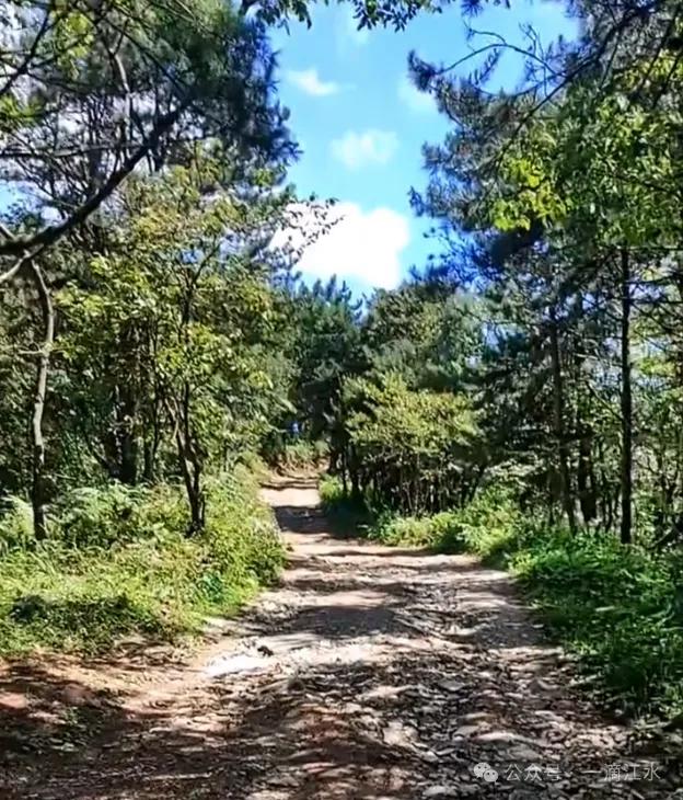秭归长阳巴东交界的香龙山，香火旺盛，那里风景怎样？会开发么？