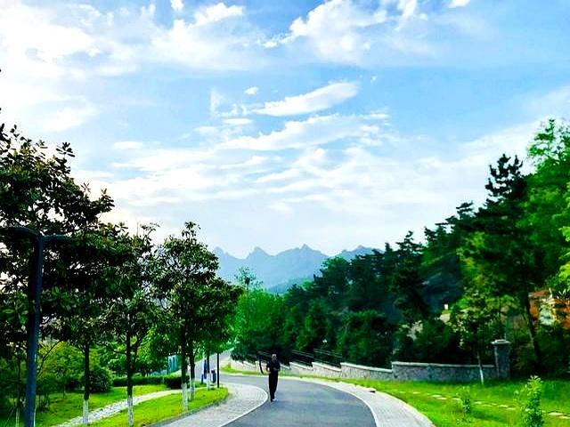 跑步的深层逻辑：没有固定轨迹，唯有深刻痕迹！