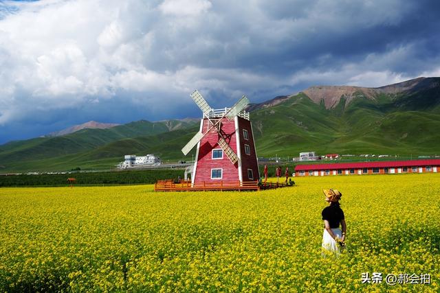 青海门源万亩油菜花海：登上四个观景点，各有风情入画来！