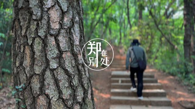 杭州小而美徒步路线：俯瞰西湖最佳平台，杭州爬山必打卡点