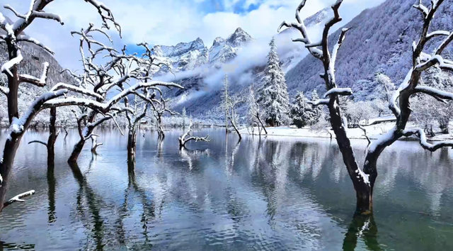 卸下秋的绚烂，赴一场四姑娘山初冬银装素裹的浪漫