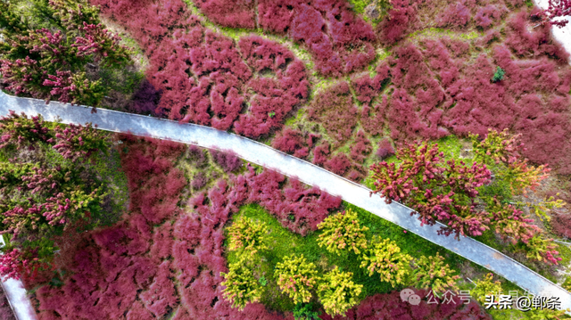 涉县：美拉德配色里，藏着橙黄橘绿的诗意