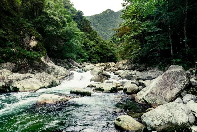 避暑天花板！去株洲阿勒泰解锁23℃的夏天
