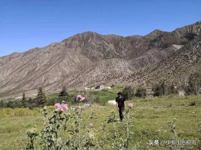 新疆之旅（六）：美丽的巴音那木