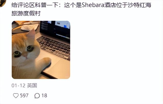 不装了！曝张雨绮“丑闻”不到1天，官媒下场，荒唐的事不止一件