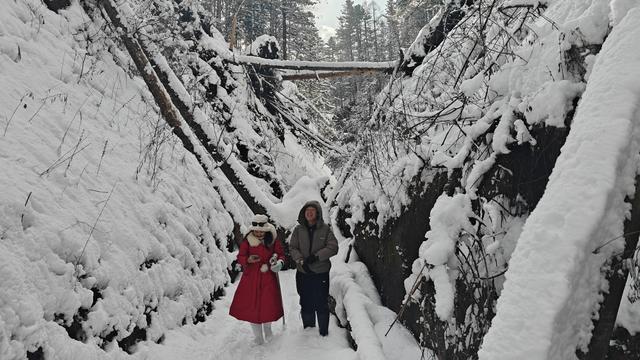 2025-2026新雪季|雪谷穿越：长白山冬日新热点