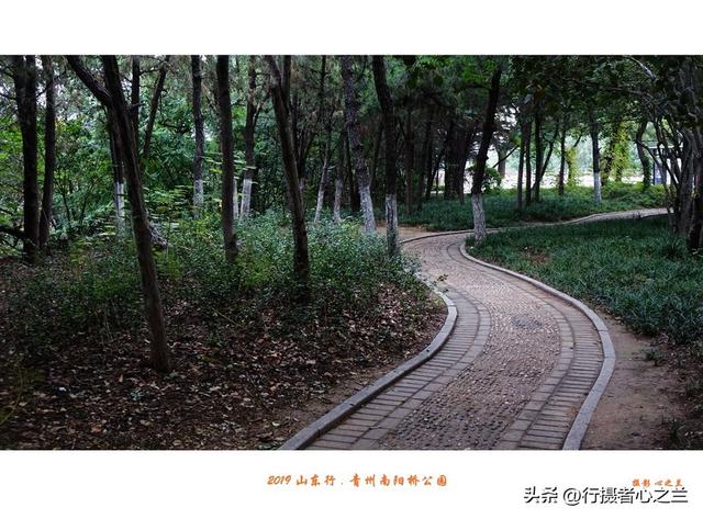 山东行游影记（144）—青州南阳桥公园