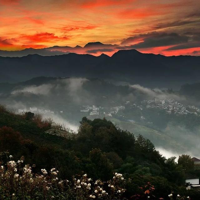 星空为幕，云海为席！歙县坡山首场公益露天电影之夜圆满落幕