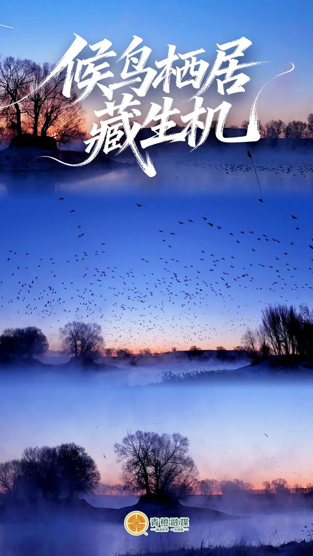 呼和浩特太会了！用“山、天、水、土、绿”拼出顶流🤩