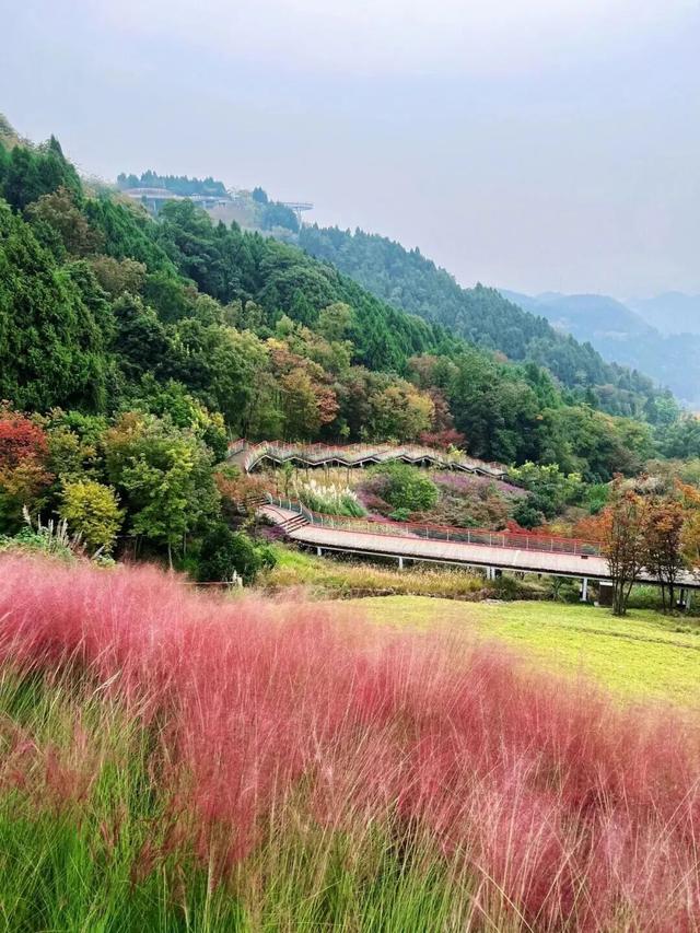 滴！赏秋“快递员”小园，持续为您派件→