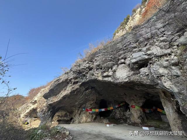 游赏过九鼎山后，我又跑到一户院里“强买”了大爷种在路边的白菜