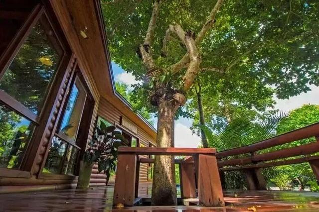 春节游万宁兴隆｜解锁热带归侨的暖冬年味！