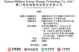 储能电池巨头，冲刺IPO图片