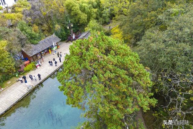 三圣宫怎么就成了龙泉寺?束河古镇边的这个3A景区有点混淆不清