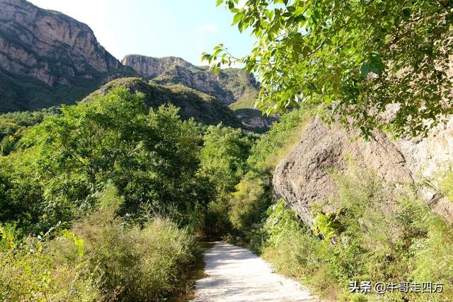 延庆应梦寺（五）：山巅极目收千嶂，林海听风涤尘心