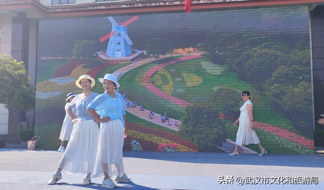 赏花正当时｜万花齐放！武汉这片金色进入最佳观赏期！