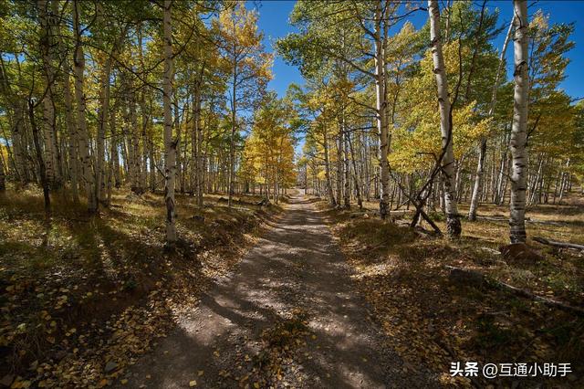 老蛙12mm F2.8 Zero-D 评测——一款存在明显妥协的超超广角定焦镜头