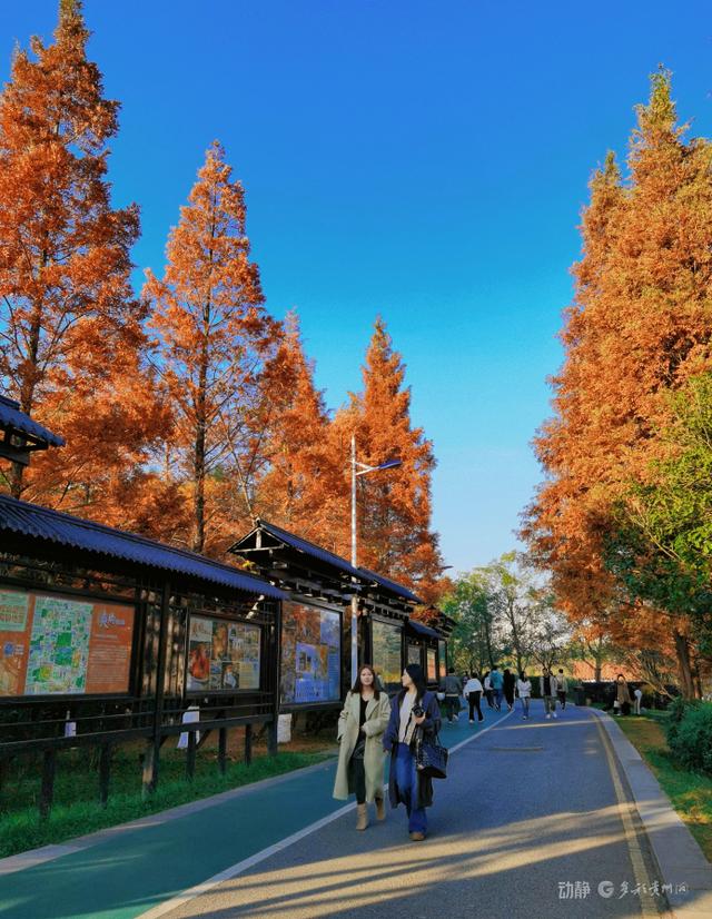 冬日暖阳下，打卡贵阳观山湖公园的绝美风景