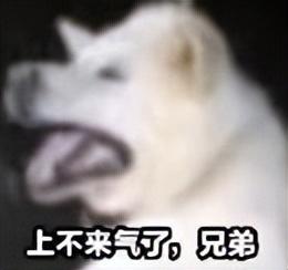 华为的10100mAh新机，把所有网友都整不会了