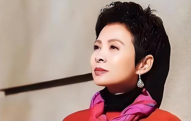 董文华不再沉默，揭露了曾经被“封杀”的原因，原来我们错怪了她