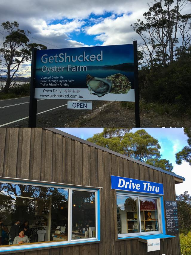 塔斯曼尼亚，全澳最鲜“海味自由”攻略，生蚝控一定要来