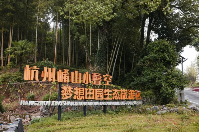 超150万人次！富阳，太燃了！