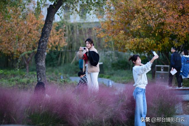 达活泉，这才是秋天该有的样子（图）