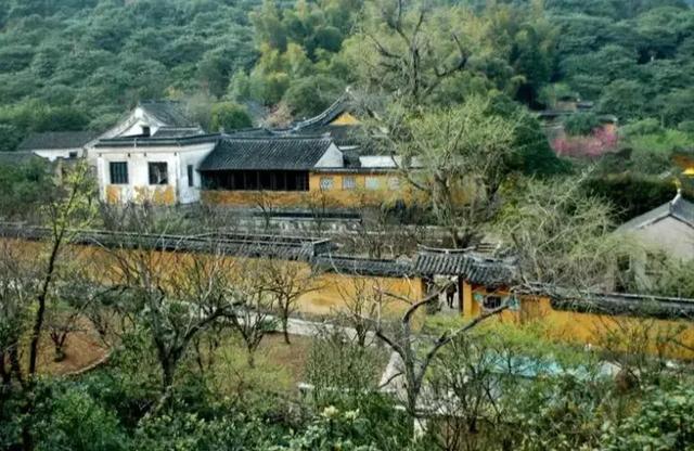 司机首次回应1010元，是小伙找他换现金900，车费是110元
