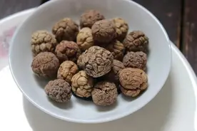 三种非常容易混淆的香料，草蔻、肉蔻、白蔻，看完后记得收藏图片