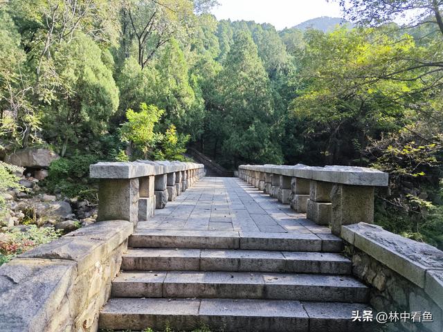 徒步登泰山之一——3小时从一天门到中天门