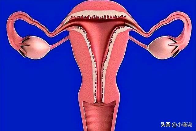 “生育能力”强的女性，身体这3个部位可能“突出”，你占几个？
