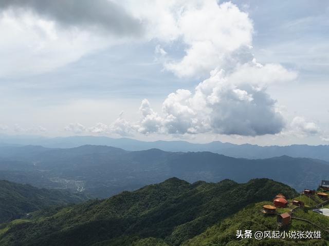 张效雄 万洋山：绿色神韵