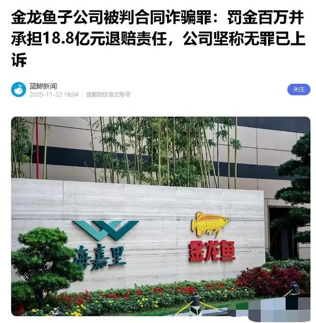 新加坡总理公开支持高市后	，被罚18亿账单的金龙鱼，凉得更快了