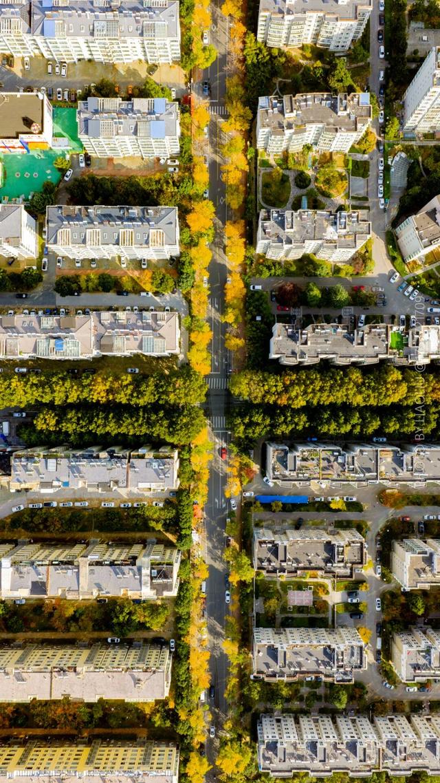 “焦糖色秘境”上线！超级出片！日照这里错过再等一年！