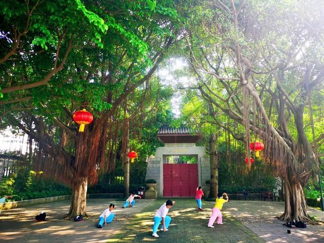 玄武湖没网红打卡点，却成了南京人天天泡的“生活客厅”