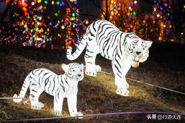 五大主题玩法~今冬旅游“主菜单”发布~