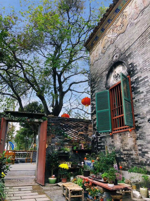 列车增开！中山直达网红度假地