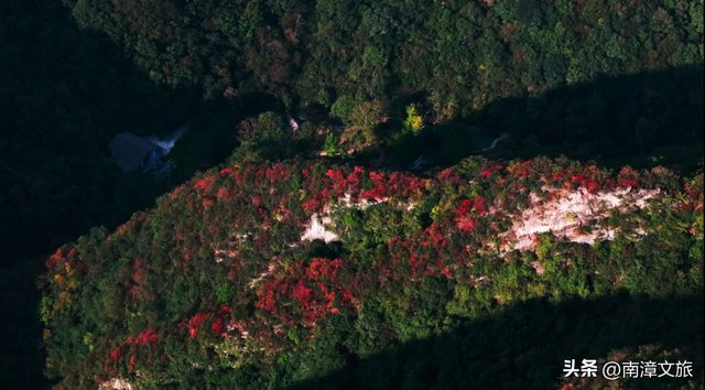 走吧！和朱迪尼克组团，解锁冬日南漳的“动物城”奇遇