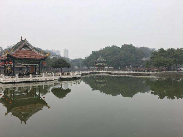 富顺西湖雨落枯荷的轻声漫语，听懂的会有大悟