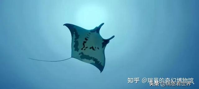 【最全!】卡西欧·海神OCEANUS系列最强攻略。