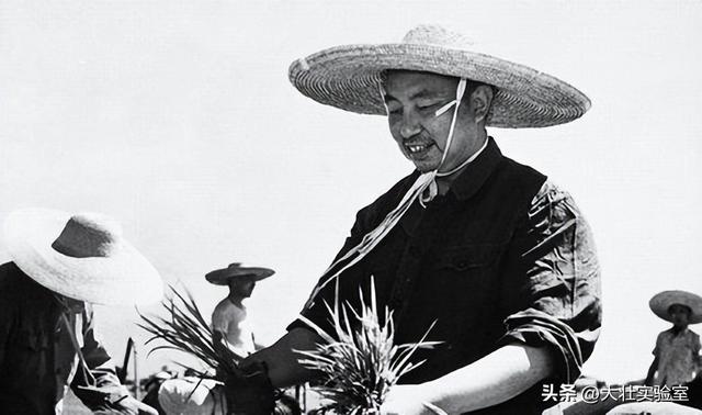 华国锋夫人韩芝俊有多美？1961年全家在长沙留影，30岁她端庄贤惠