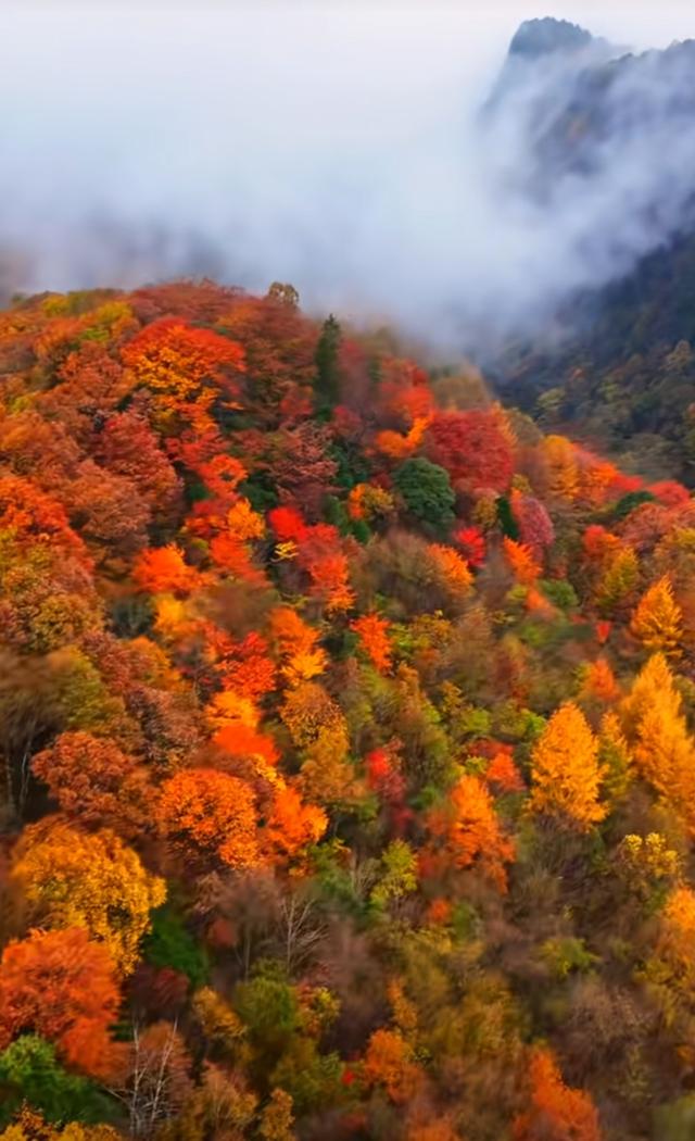 盐井峡的秋，是山野写给人间的信