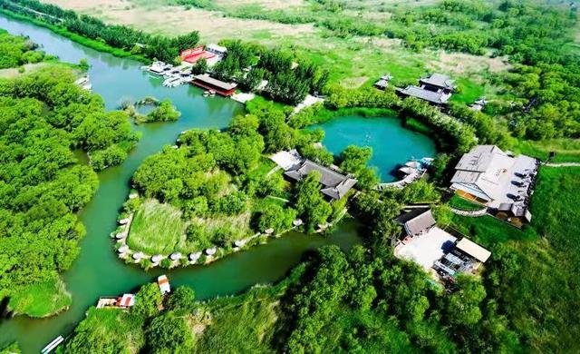 双节假期洽川湿地游人如织 赏湿地风光品诗经诗意