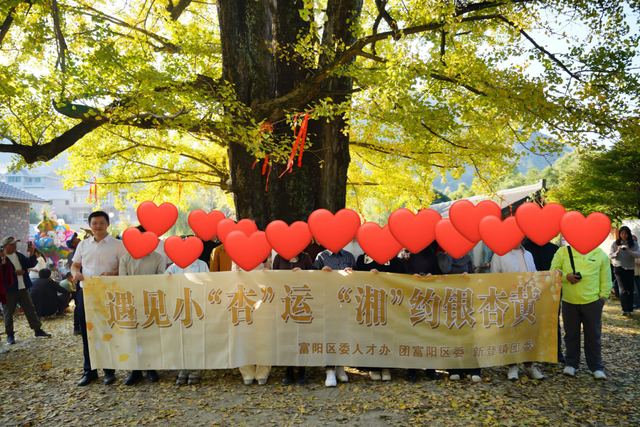 游客纷纷赶来！富阳这个村，又要火了