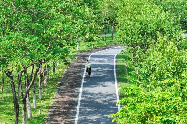 逛完你的逛你的，桂城公园真的逛不完！免费畅玩→