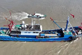 分割鲸鲨视频牵出捕售收购链，沪浙海警联动破案图片