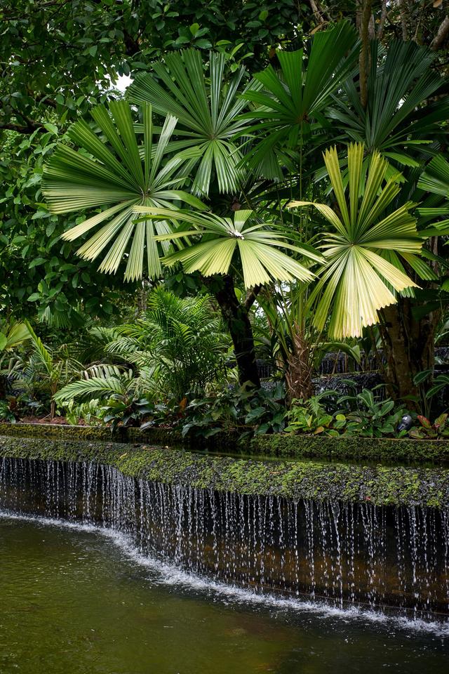 新加坡：“亲自然城市”，并非简单的“花园城市”